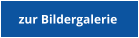 zur Bildergalerie